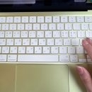 애플3 | 맥북 가격 인상 소식에 놀라 쓰는 맥북 네오 3개월 실사용 후기! (애플 맥북에어 비교)