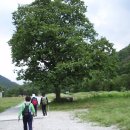 사평분교 이미지