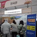 무성산 | 겨울공주군밤축제 후기 | 무료 시식 역대급 공주 밤 디저트 총집합