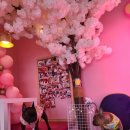 스파트리송정 이미지