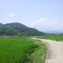 동강마을 이미지