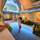 주)스카이아울렛 이미지