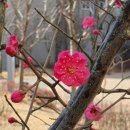 슬기로운 운동생활 이미지