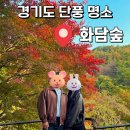 소통하는 나무 | 광주 가을 단풍 명소 &#39;화담숲&#39;🍁 + 번지없는 주막 파전 후기까지!!