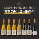 [메종 드누지에르] 보르도 론 와인 산지 추천, 와인 7종 비교 시음하기 (시음회 참석 후기)