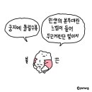 오늘도 맑음 - 장성군 | 오늘도 맑음