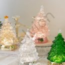 파인트리비 이미지