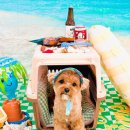 개동유치원 이미지