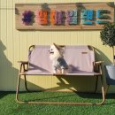 멍아일랜드 이미지