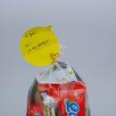 화로수 | [중국 유학기][유학 일상기] 6월의 일상. 1학기 끝!심천대 어학연수 후기! 잠시 한국으로!