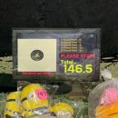 샤인게임장 이미지