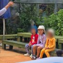 텃밭과 함께하는 생태체험놀이 | 경기도 유아 숲체험 프로그램 추천! 모락산숲자람터 리틀포레스트 ! 아이는 자연 속으로, 엄마는 여유...
