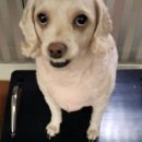 장자길82번길 이미지