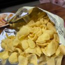 청벽거북 이미지