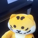 의정부정성다한치과의원 | 20251111_치과 치료를 다녀오다.(feat.의정부정성다한치과의원)