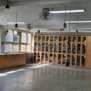 은평중학교 이미지