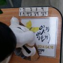 오늘 12/1은 단원고 명예 3학년 4반 김동혁의 생일입니다. ★ #1111 분향소 전광판 무료문자 이미지