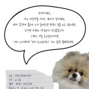 다잇댕 이미지