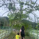 초원커피숍 | 춘천 해피초원목장 아이들과 부모님 모두 만족 여행지