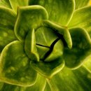 꿈의궁전 이미지