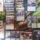 PPTQ Sydney 후기 (홍대/성수) 이미지