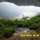 팔용당저수지 이미지