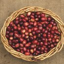 팥 - 부천시 원미구 부흥로 189-1 | 팥