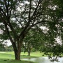 세컨라운드골프 | 태국골프투어 람룩카CC 방콕골프 라운드 후기