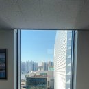 TNG | 사무실썬팅필름 창문햇빛차단시트지 김포 장기동 사무실 TNG TC0580 시공