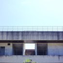 강정동-59 이미지