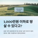 야산마을진입로 | 1,000만원 이하로 땅 사는 사람들의 특징