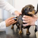 투게더 동물병원 이미지