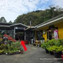 (주)백제허브 | 충남 청양] 청양 고운식물원 (ft. 충남관광지 입장료 할인팁)