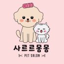 사르르몽몽 이미지