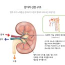 파크동물의료센터