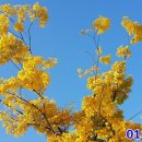 거성빌딩 앞 이미지