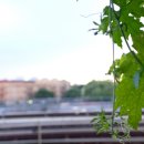 광복세탁소 이미지