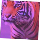 올바른 약국 이미지