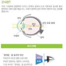 나라꽃안경 이미지