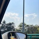 아란치아 네이버블로그