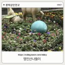 생명장애인주간보호 | [영인산 나들이 후기] 팽성장애인 주간보호센터와 함께한 따뜻한 하루, 이번 주말 추천 코스 (영인산...