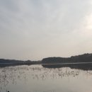 삼일낚시 이미지