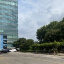 양재화훼공판장 화장실 | 양재화훼공판장 화란플라워 후기: 양재동 가성비 꽃바구니로 엄마 생신선물 성공!