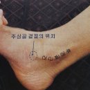 크로우짐 이미지