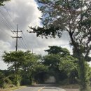 제주돌담집 - 진주시 | 제주 한경면 제주돌담집 에어비앤비 후기