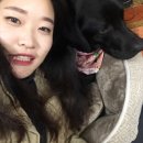 레드짐 복싱클럽 이미지