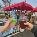 (주)부산팜 | [부산] 제15회 철마한우불고기축제 방문 후기 🐂