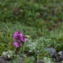 구름송이 이미지