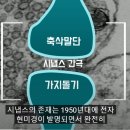 뇌과학 입문 이미지