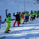 파란태권도 이미지